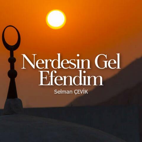 Nerdesin Gel Efendim album art