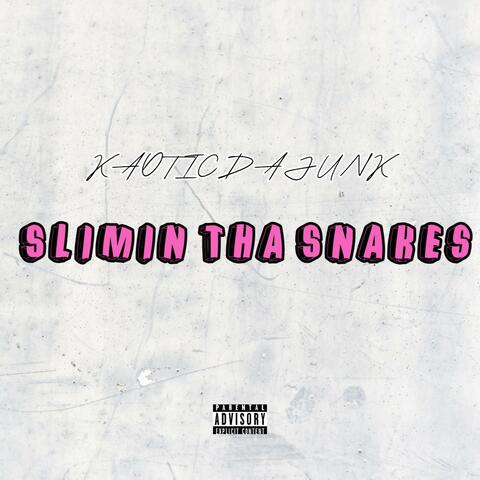Slimin Tha Snakes album art