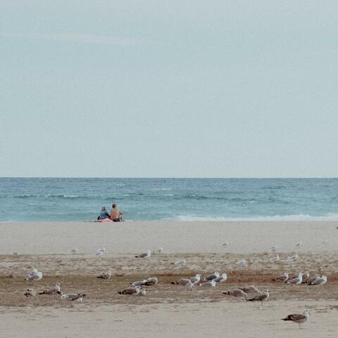 La vida es bella I album art