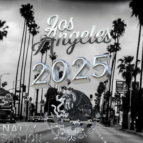 Los Angeles 2025 album art