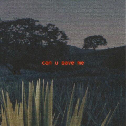 can u save me album art