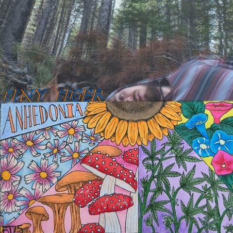 Anhedonia album art