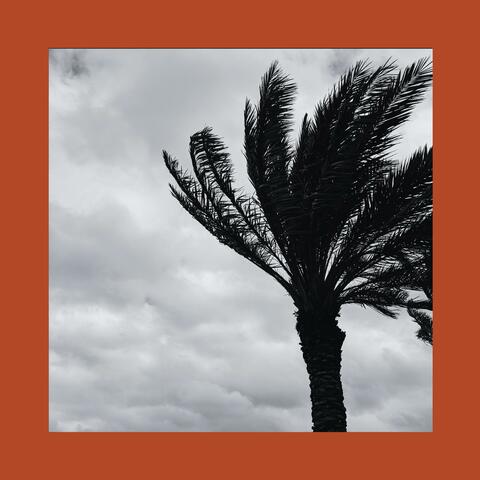 Meet You album art