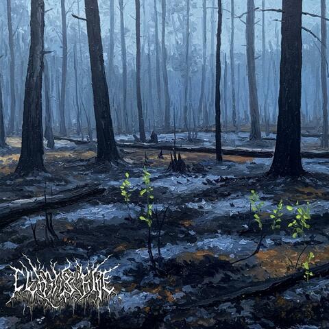 Cultivation album art