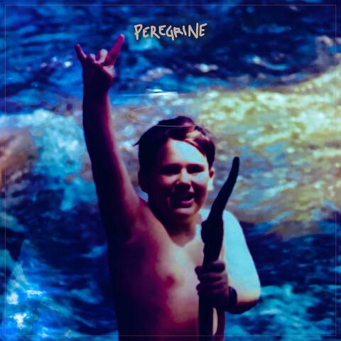 Peregrine album art