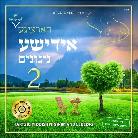 Hartzige Yiddishe Nigunim 2 album art