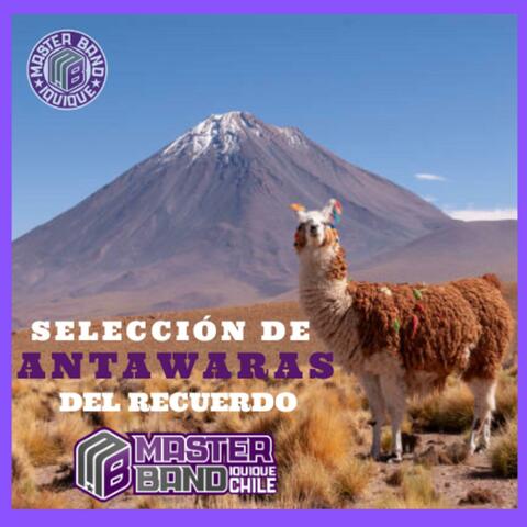 Selección Antawaras del recuerdo Master Band Tirana 2025 album art