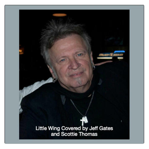 Little Wing album art