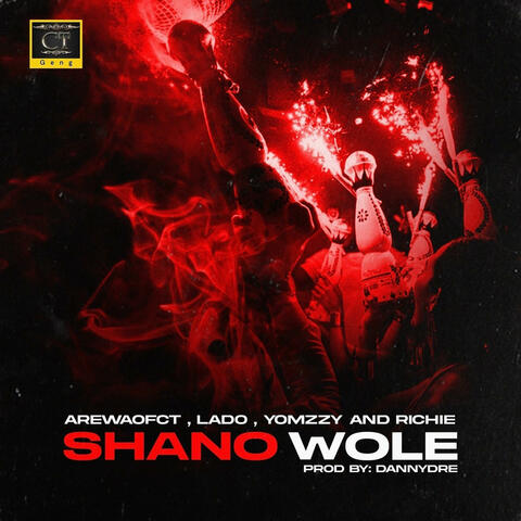 Shanawole (feat. Arewaofct, Richie money & Lado) album art