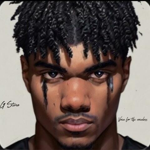 Voice For The Voiceless album art