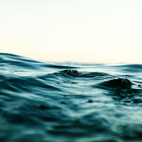 Wav.Exe album art