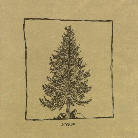 Steady album art