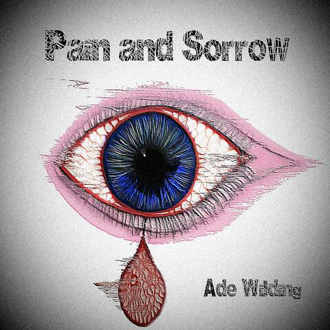 Pain And Sorrow album art