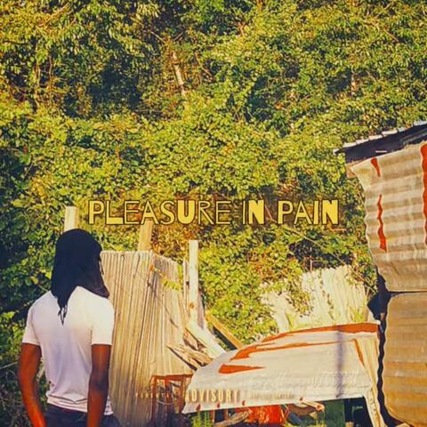 Pleasure In Pain album art