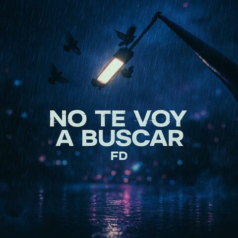 No te voy a buscar album art