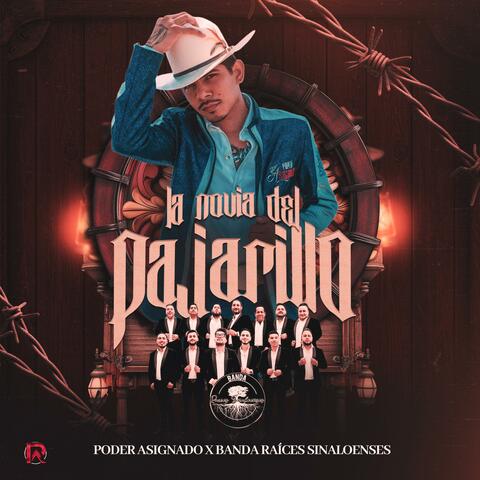 La Novia Del Pajarillo album art