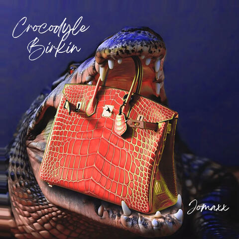 Crocodyle Birkin (Radio Edit) album art