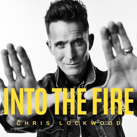 Into the Fire album art