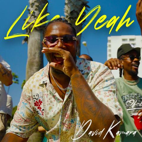 Like Yeah album art