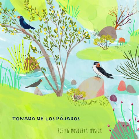 Tonada De Los Pájaros (Tonada cuyana) album art