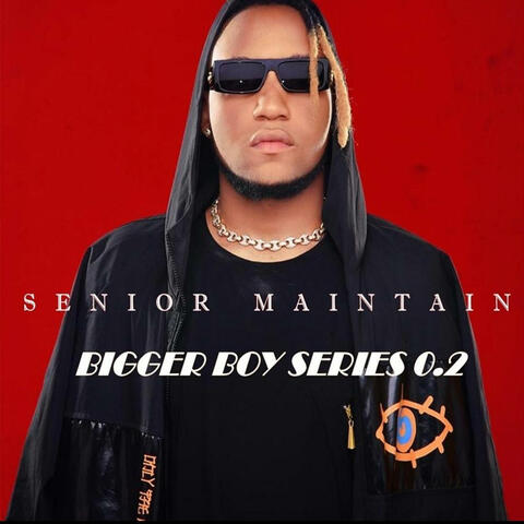 BIGGER BOY SERIES 0.2 album art
