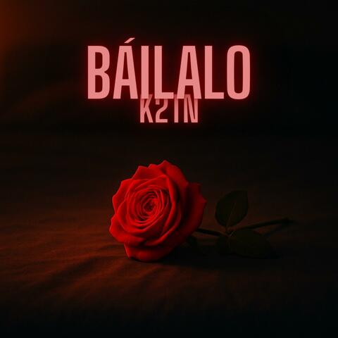 Báilalo album art