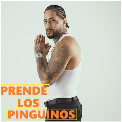 PRENDE LOS PINGÜINO album art