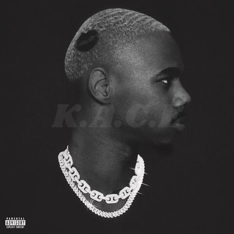 VIDA KA LARGAN album art