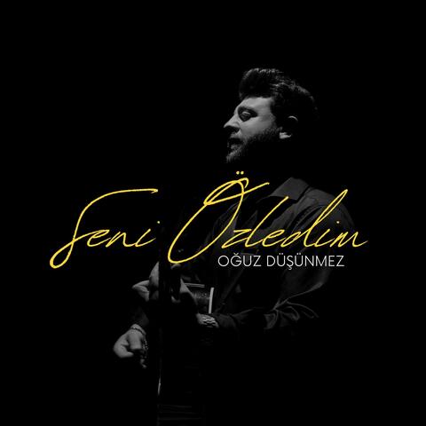 SENİ ÖZLEDİM album art