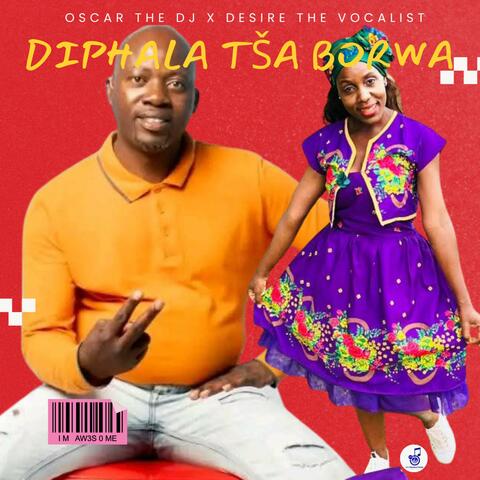 Diphala Tša Borwa (feat. Desire The Vocalist) album art