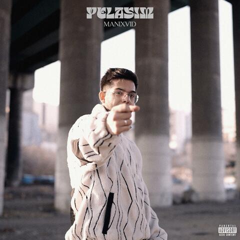 Pelasin album art