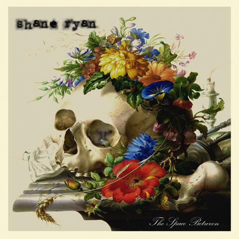 The Space Between album art