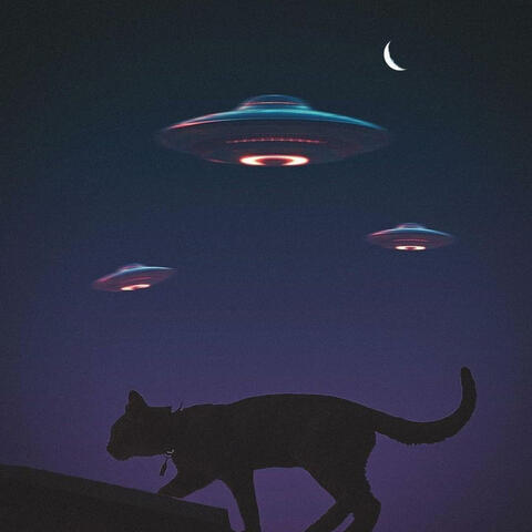 Where Were You album art