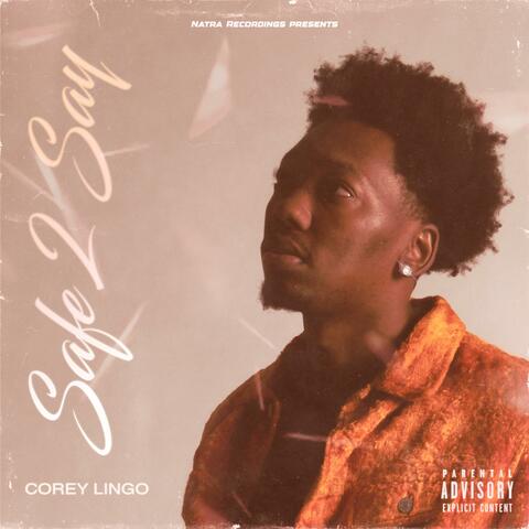 Safe 2 Say album art