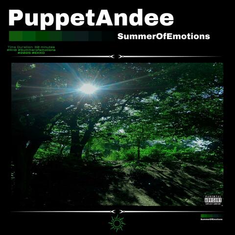 Summer of Emotions album art