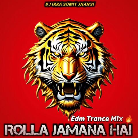 Rolla Jamana Hai album art