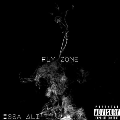 Fly Zone album art