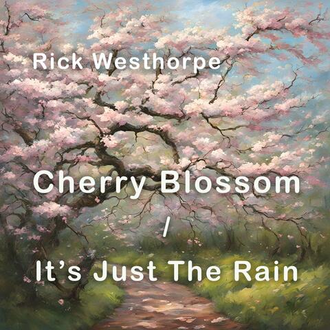 Cherry Blossom album art