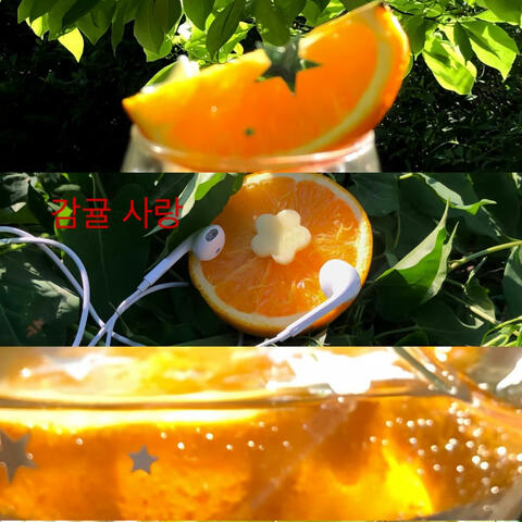 Tangerine Love album art