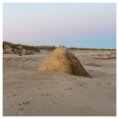 Inevitables album art
