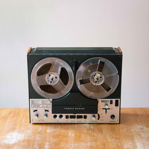 16mm Dream Sequence album art