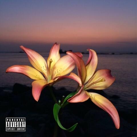 'TILL THE SUN album art