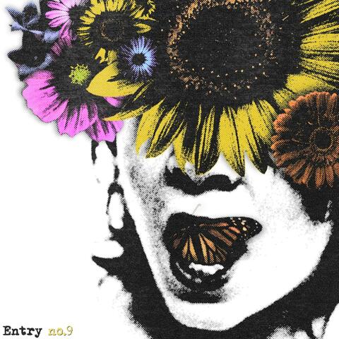 entry no.9 album art