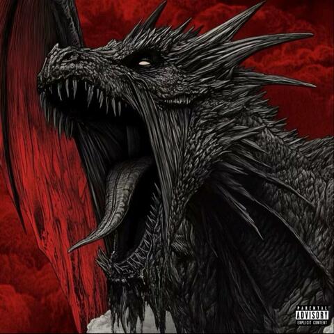 MEGA DRAGON album art