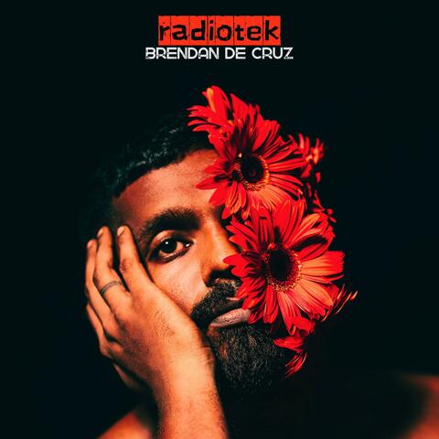 Radiotek album art