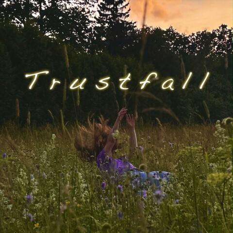 Trustfall album art