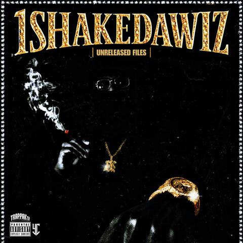 Unreleased files album art