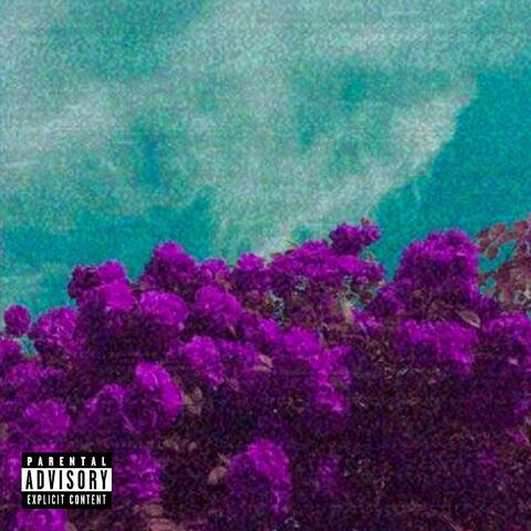 Purple Tape album art