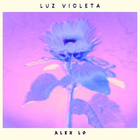 Luz Violeta album art