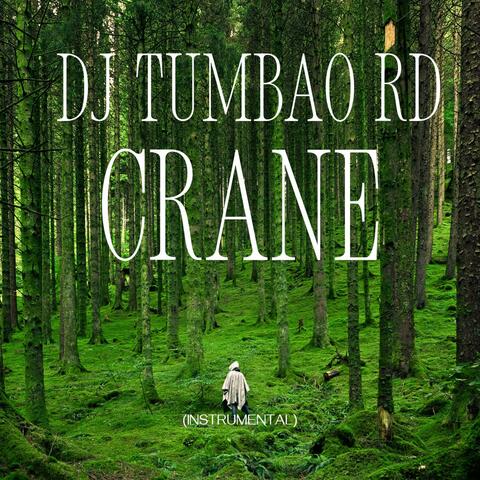 Crane (instrumental) album art